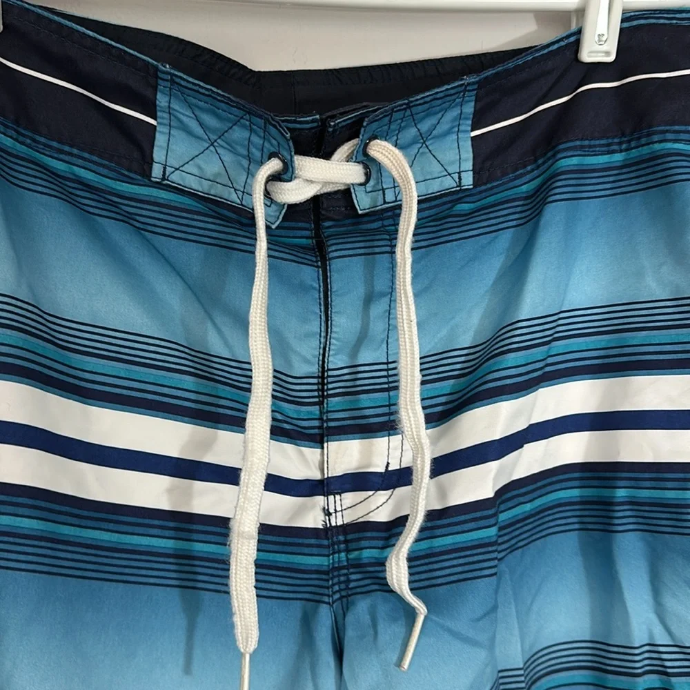 Men's Blue Striped Swim Shorts